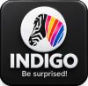 Indigo Paints